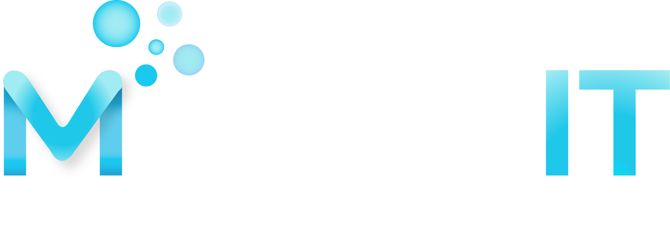 Master IT Support